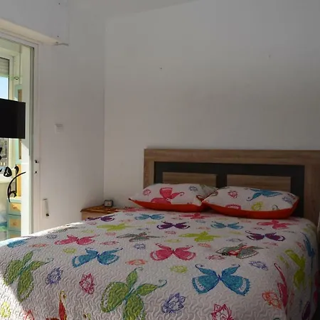 Estudio Eneas 1 Torrevieja