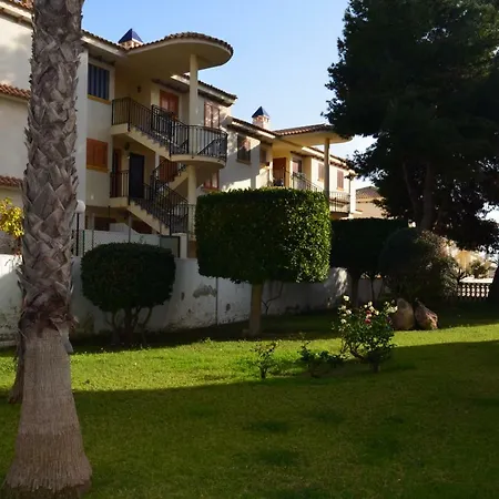 Estudio Eneas 1 Torrevieja