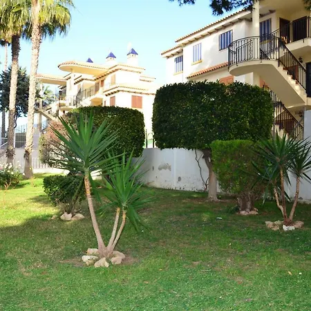 Estudio Eneas 1 * Torrevieja
