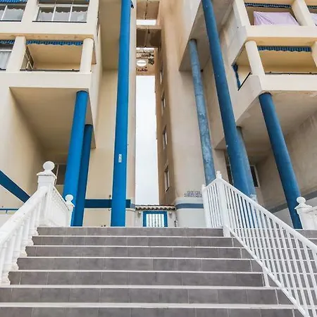 Estudio Eneas 1 Torrevieja