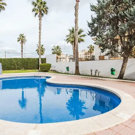 Estudio Eneas 1 Torrevieja
