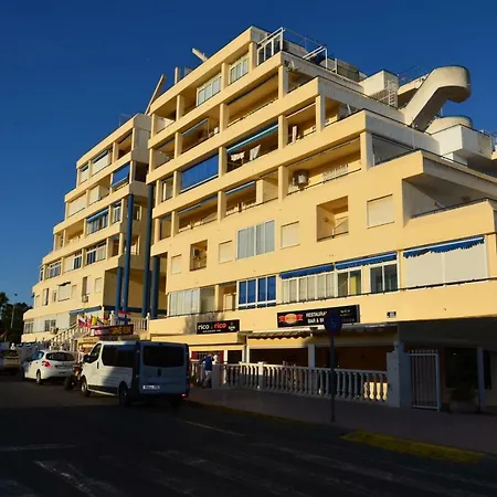 Estudio Eneas 1 Torrevieja
