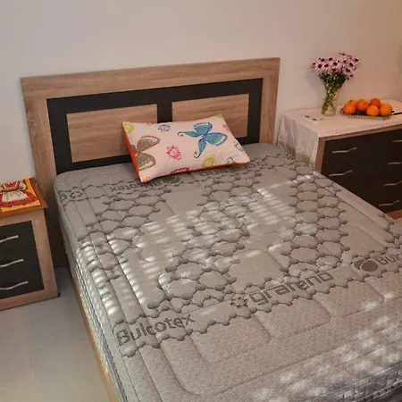 Estudio Eneas 1 Torrevieja